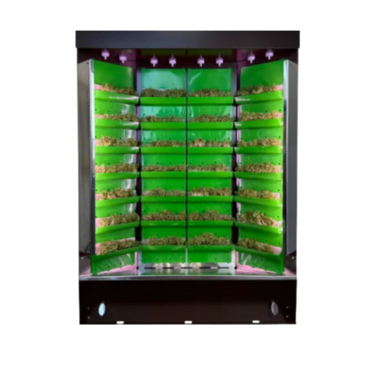 Вертикальная ферма "Моя Микрозелень" комплектация "Театро настольная" - «globural.ru» - Первоуральск