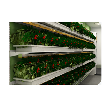 Стеллаж для выращивания клубники "Стена" - «globural.ru» - Первоуральск