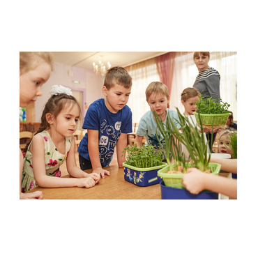 Обучающий комплект экологической направленности "Сити-фермер 2.0 Детский сад" 30 человек - «globural.ru» - Первоуральск
