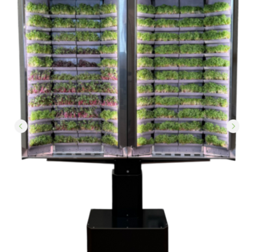 Вертикальная  ферма «Моя микрозелень» комплектация  «Театро настенная» - «globural.ru» - Первоуральск