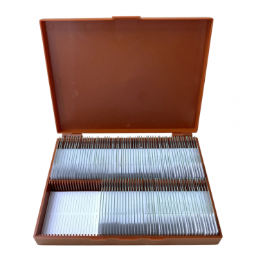 Комплект микропрепаратов по анатомии, ботанике, зоологии, общей биологии - «globural.ru» - Первоуральск