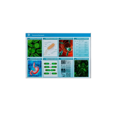 Стенд-планшет светодинамический «Изучение экологии бактерий» - «globural.ru» - Первоуральск