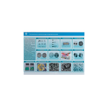 Стенд-планшет светодинамический «Изучение систематики и номенклатуры микроорганизмов» - «globural.ru» - Первоуральск