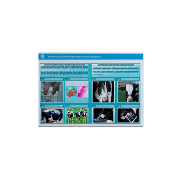 Стенд-планшет светодинамический «Изучение асептических и гнойных воспалительных процессов» - «globural.ru» - Первоуральск